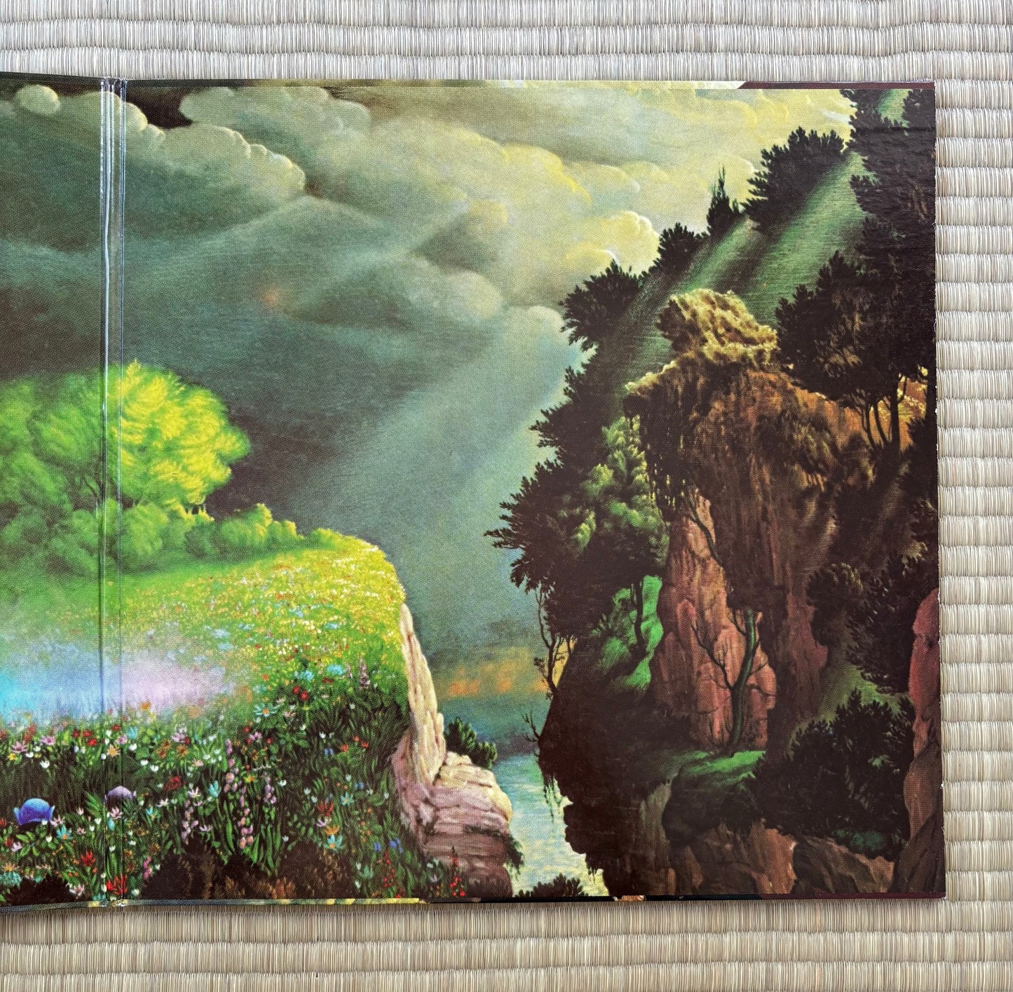 Masayoshi Takanaka/Rainbow Goblins