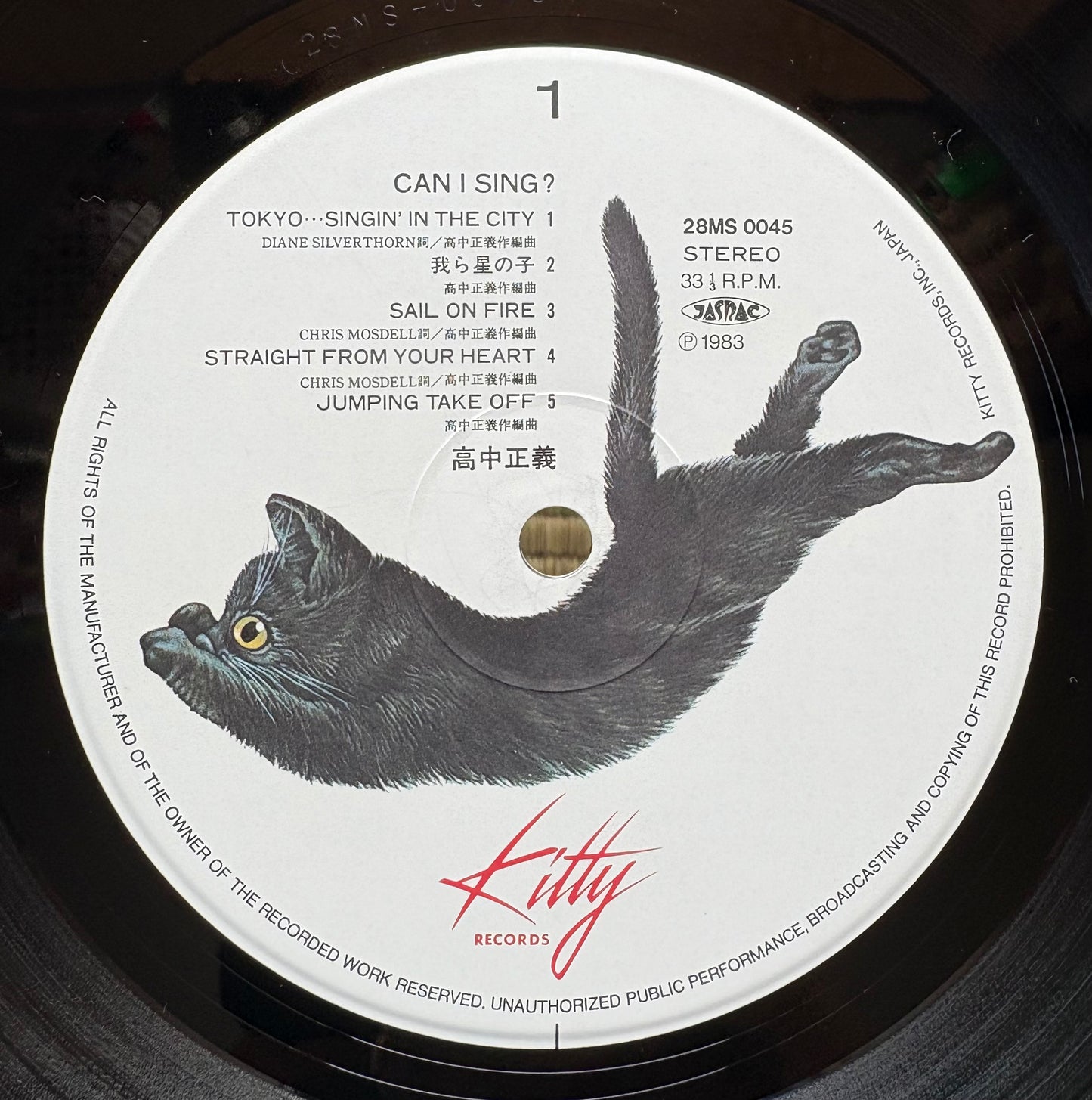 Masayoshi Takanaka / Can I Sing?