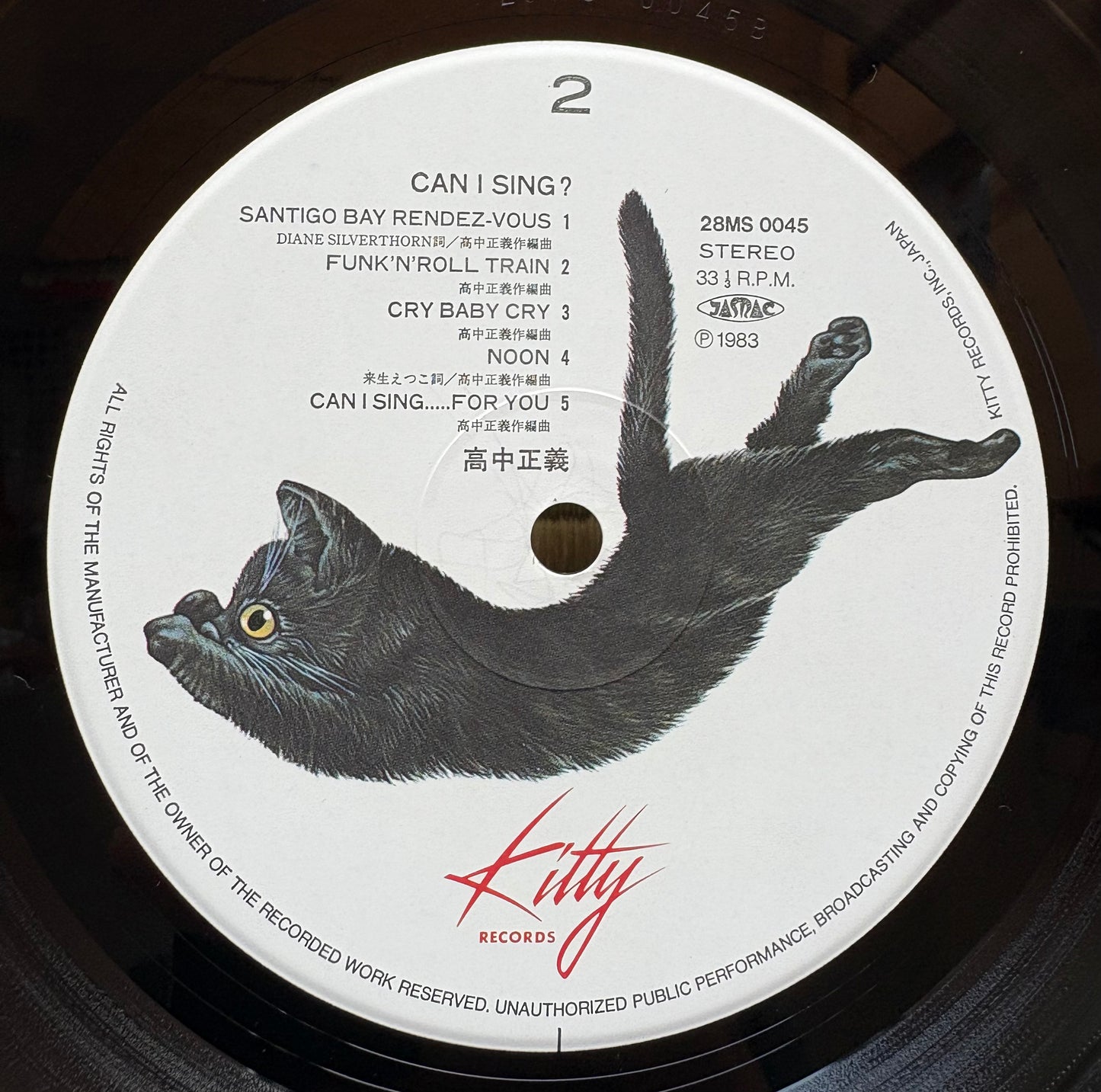 Masayoshi Takanaka / Can I Sing?