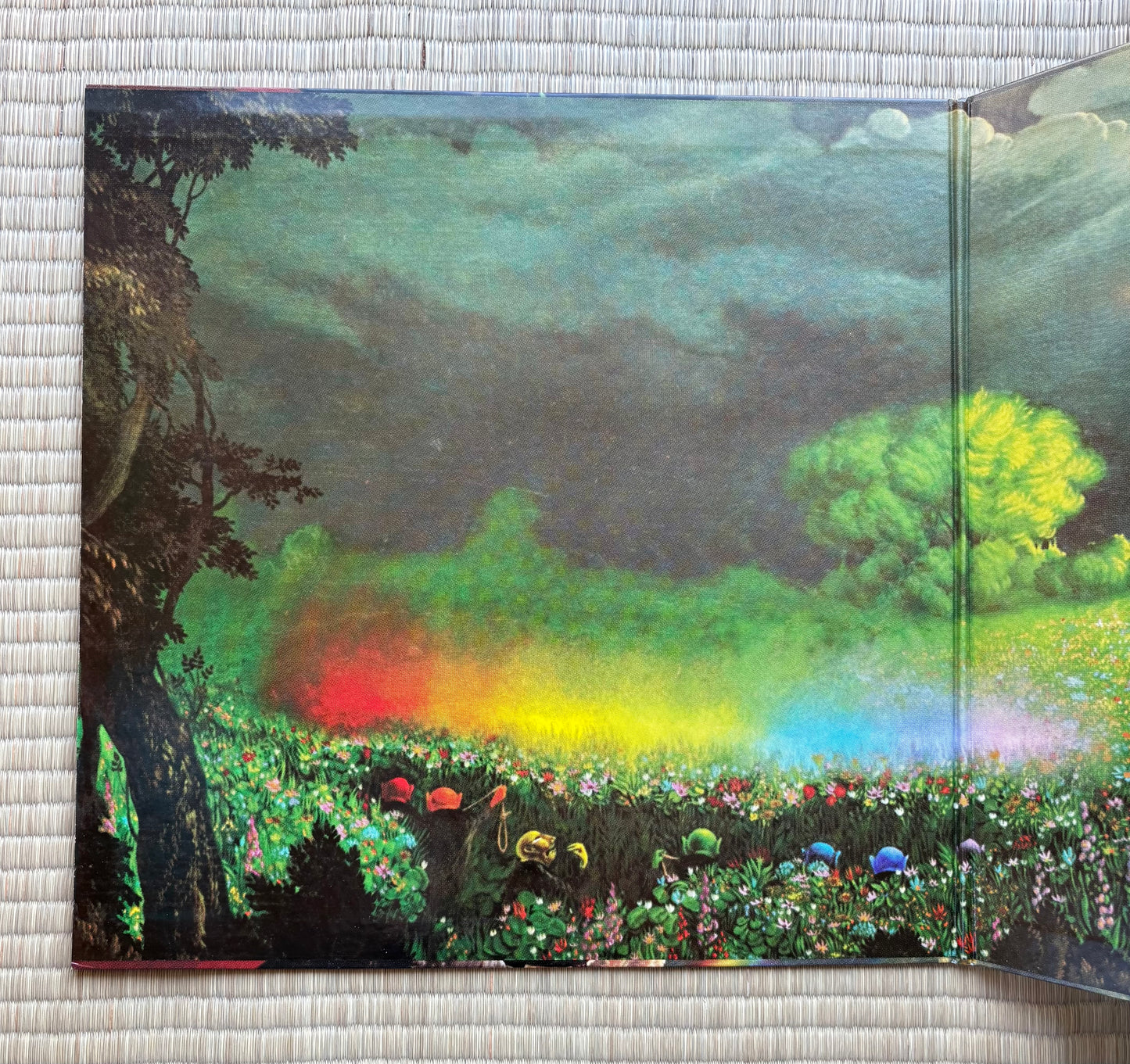 Masayoshi Takanaka/Rainbow Goblins