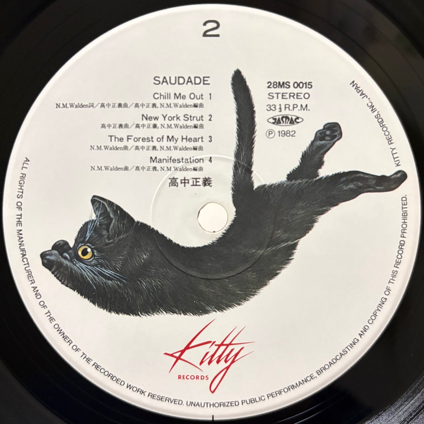 Masayoshi Takanaka - Saudade