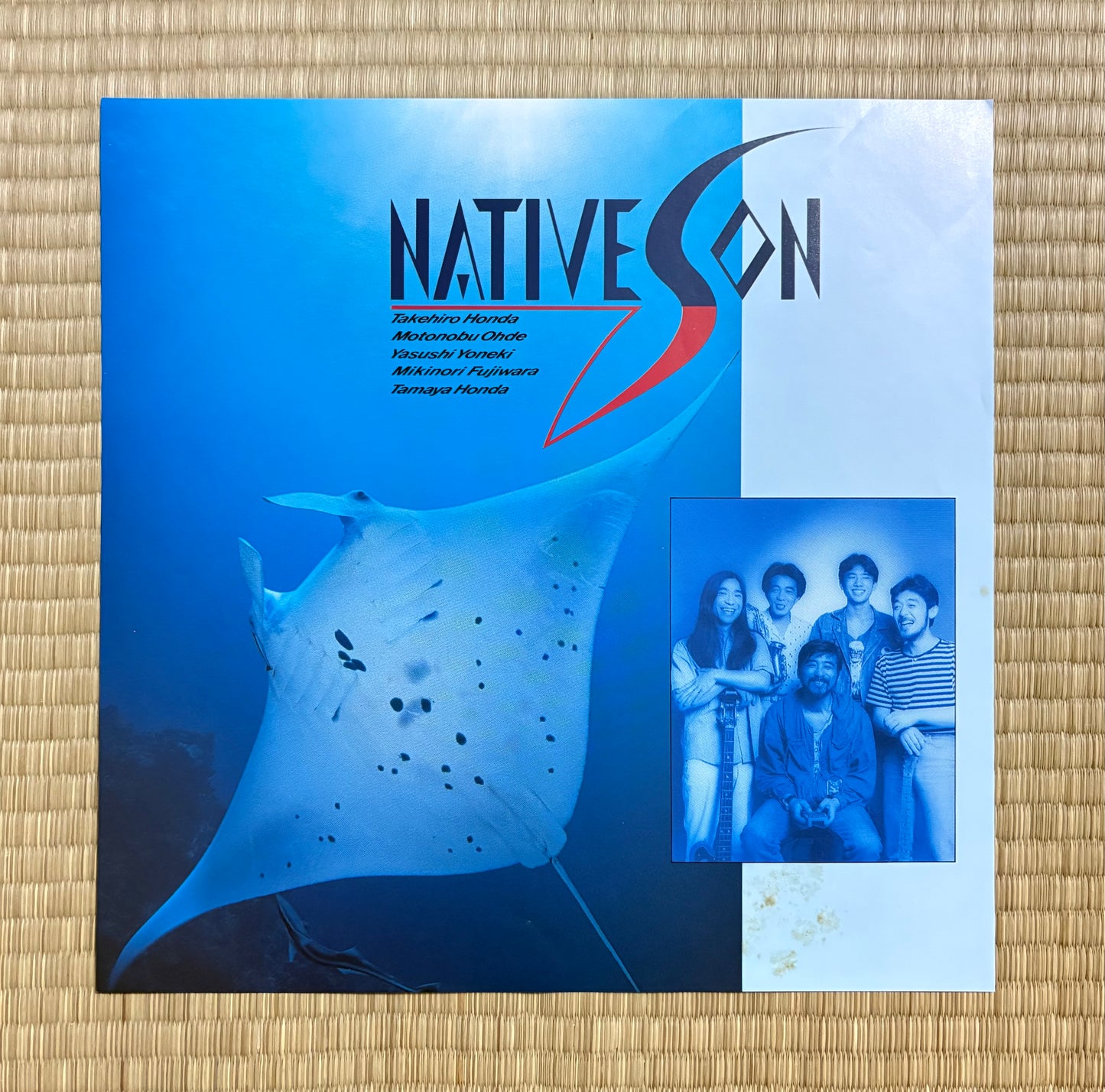 Native Son / Veer