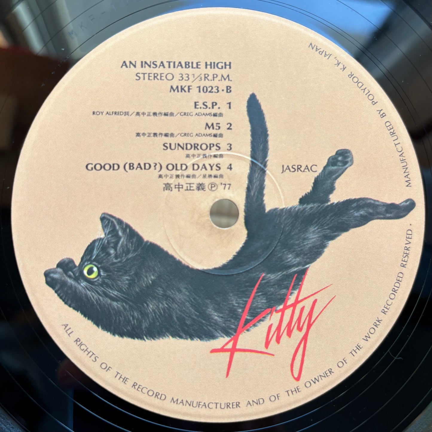 Masayoshi Takanaka - An Insatiable High