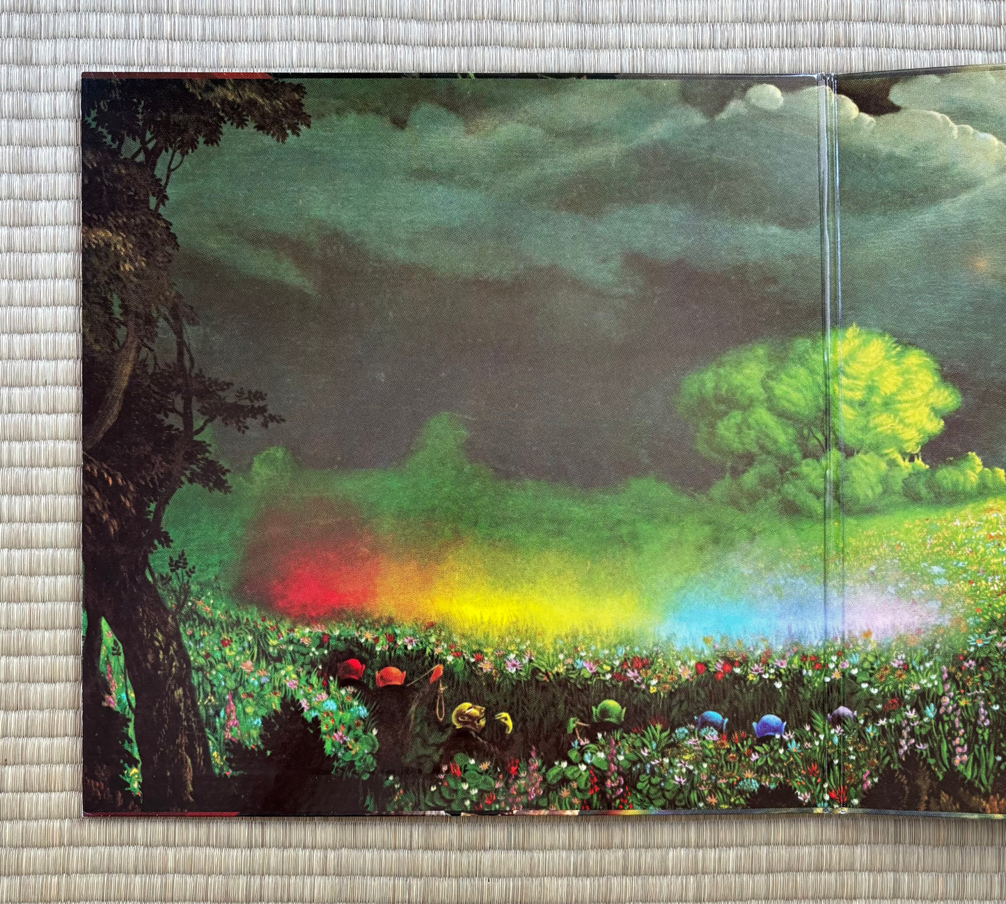 Masayoshi Takanaka/Rainbow Goblins
