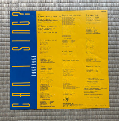 Masayoshi Takanaka / Can I Sing?
