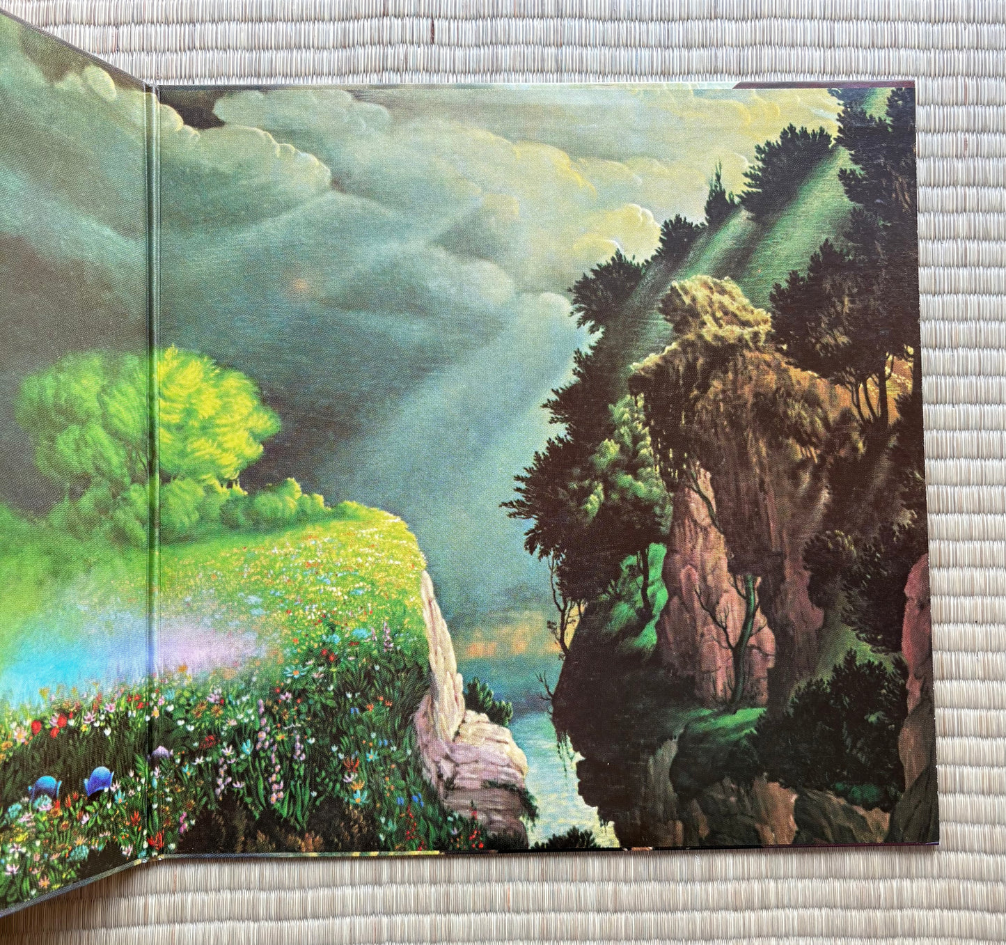 Masayoshi Takanaka/Rainbow Goblins