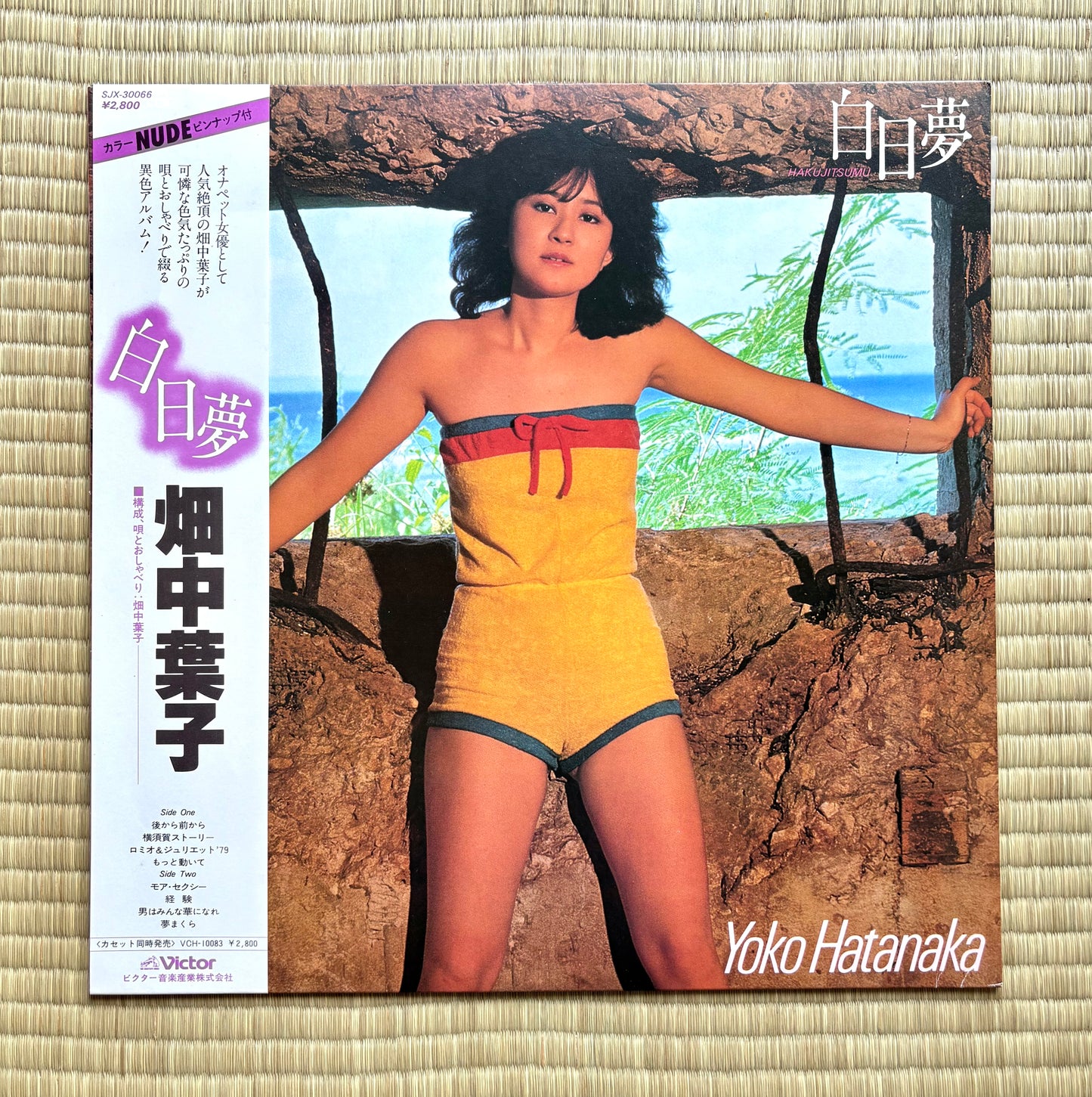 Yoko Hatanaka / Hakujitsumu