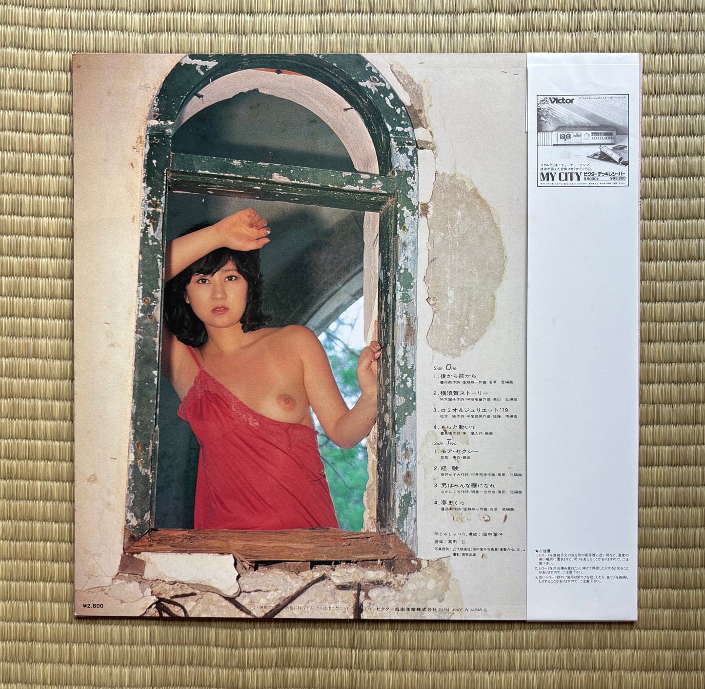 Yoko Hatanaka / Hakujitsumu