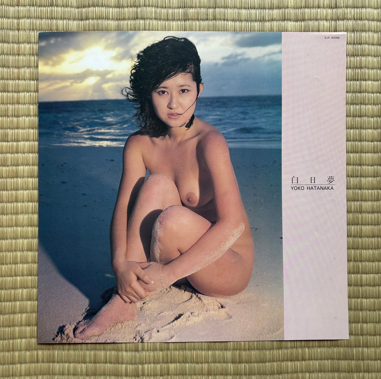 Yoko Hatanaka / Hakujitsumu