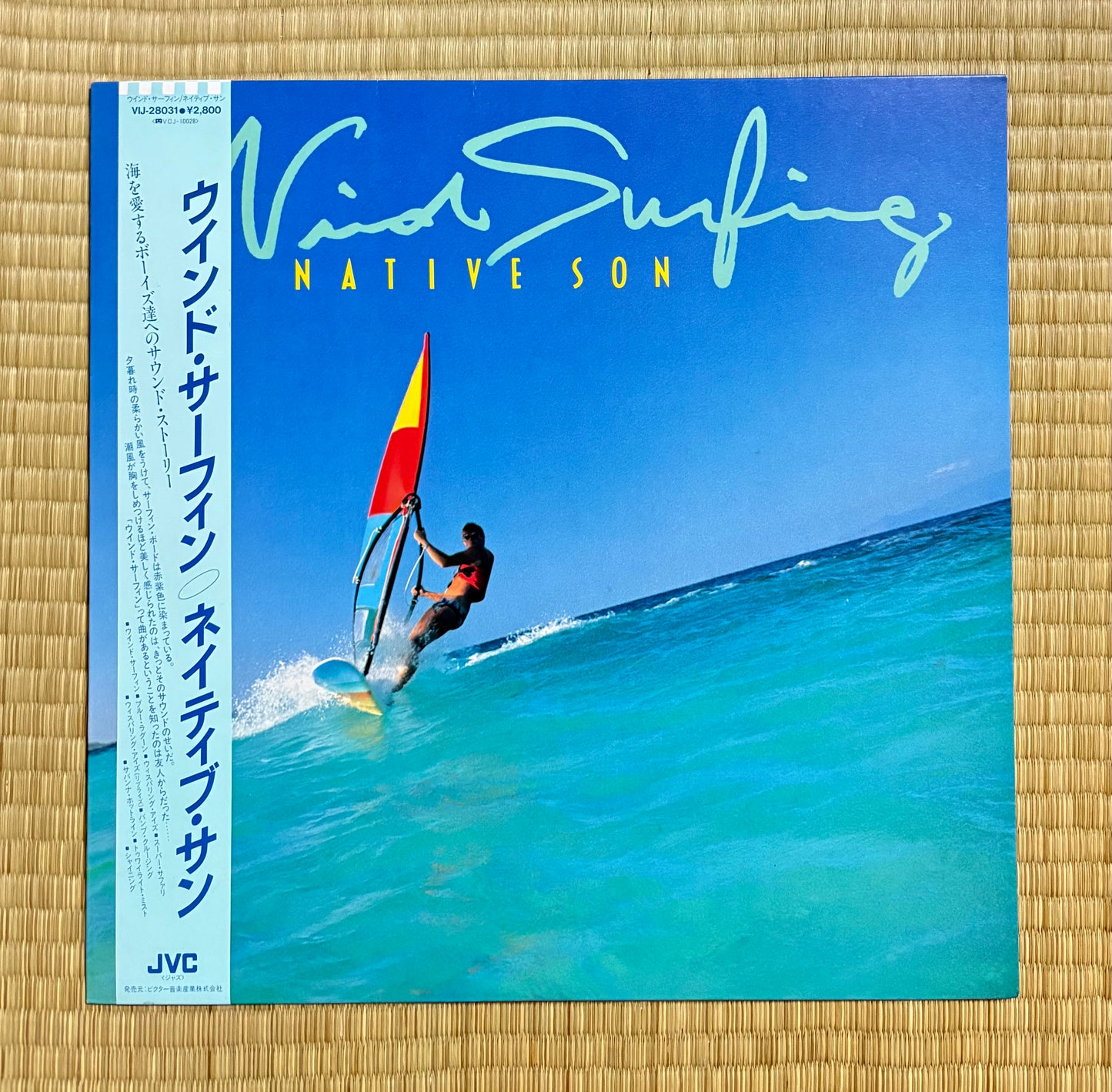 Native Son / Wind Surfing