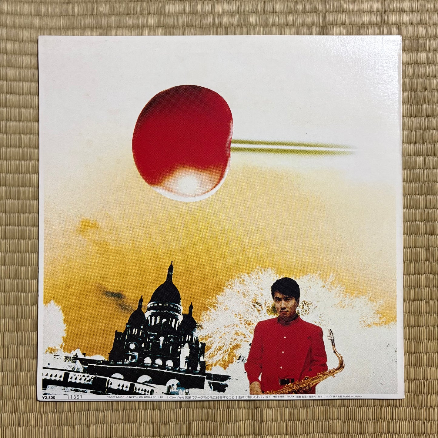 Yasuaki Shimizu / IQ 179