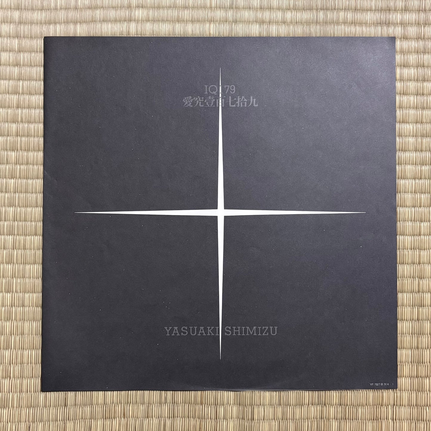 Yasuaki Shimizu / IQ 179