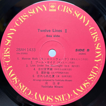 Yoshitaka Minami – 12 Lines II