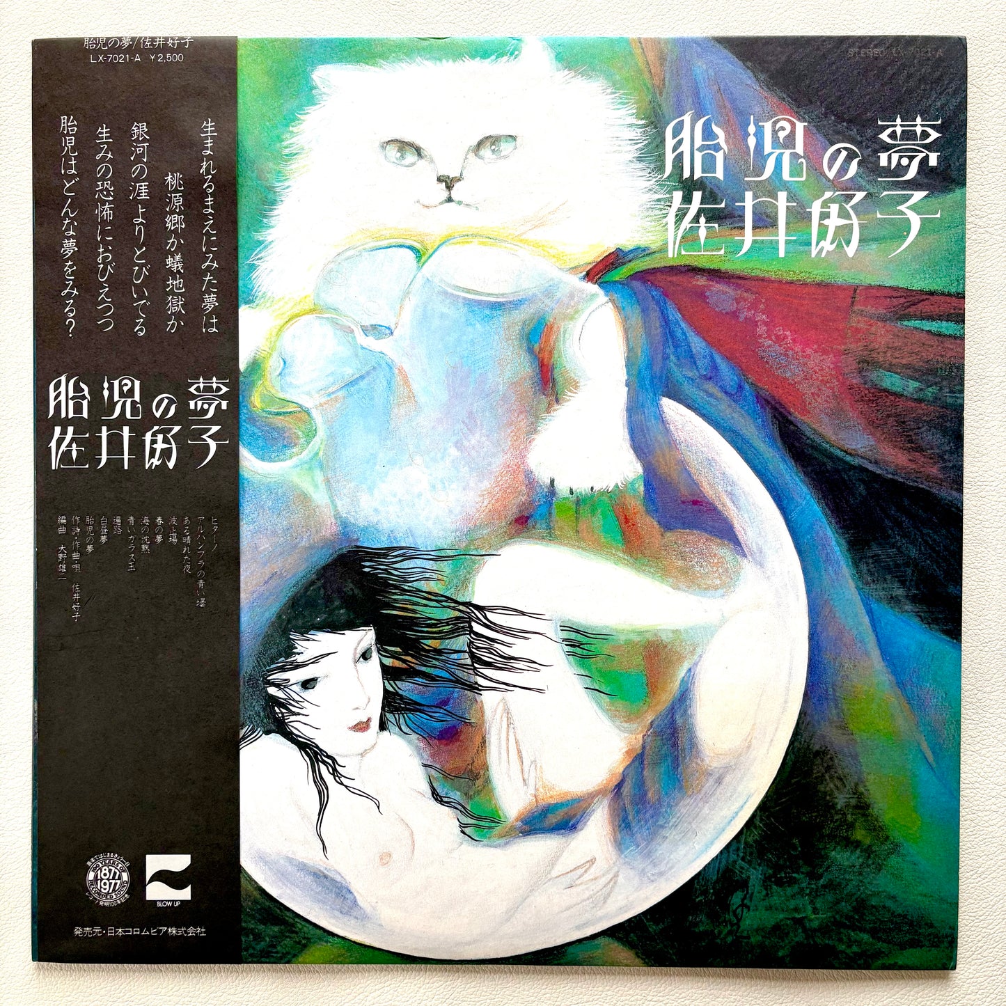Yoshiko Sai - Taiji No Yume