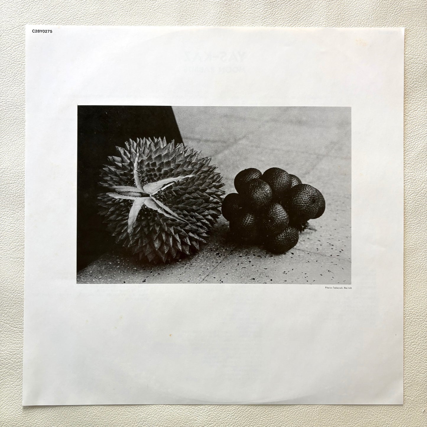 Yas-Kaz – Moon Rabbits