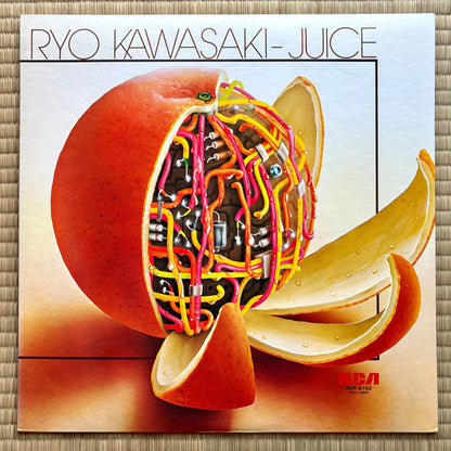 Ryo Kawasaki - Juice