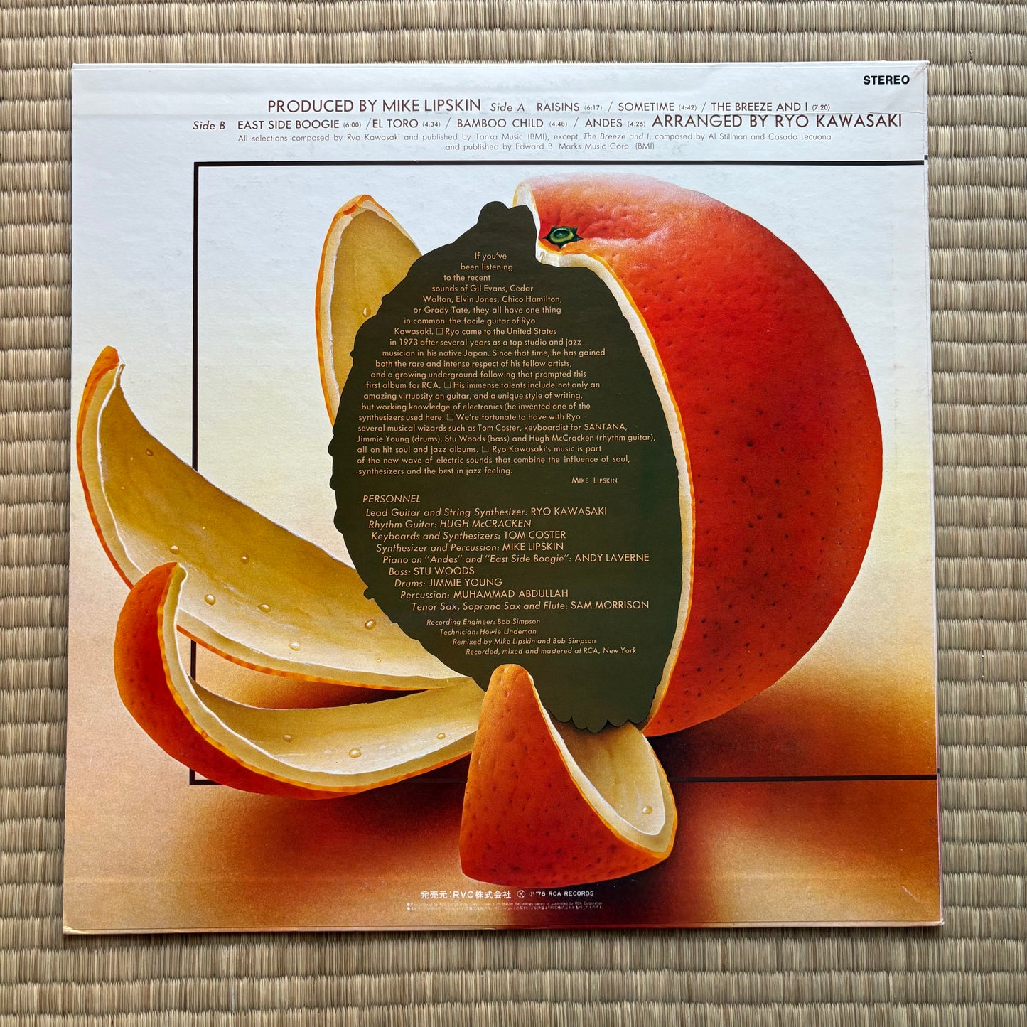 Ryo Kawasaki - Juice