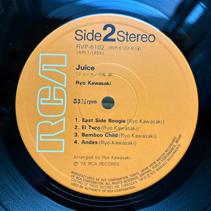 Ryo Kawasaki - Juice
