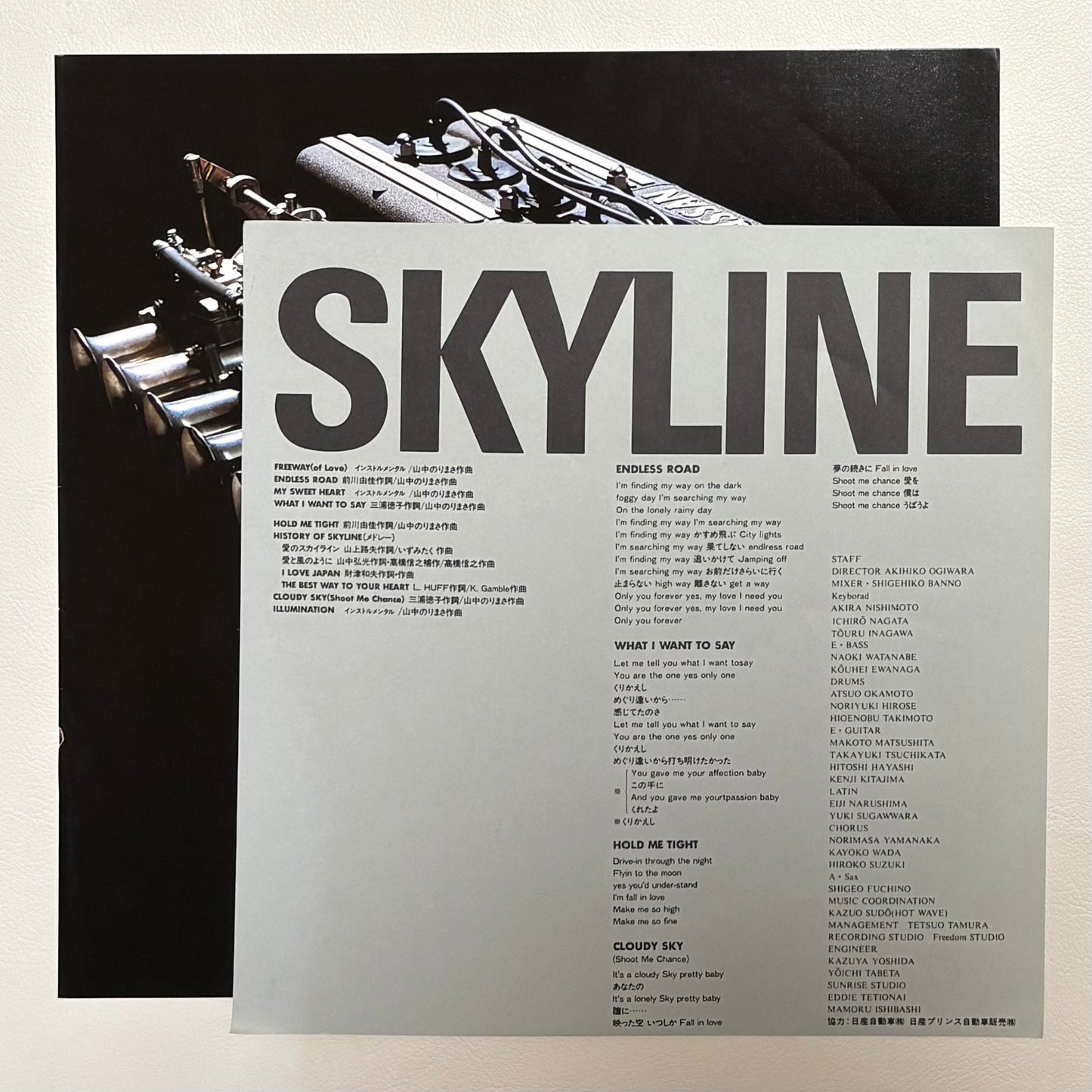 Skyline Express – Skyline