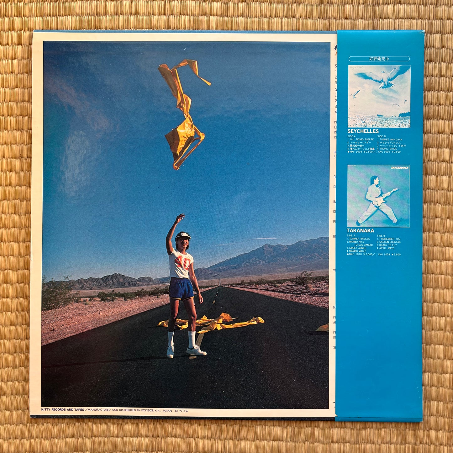 Masayoshi Takanaka - An Insatiable High