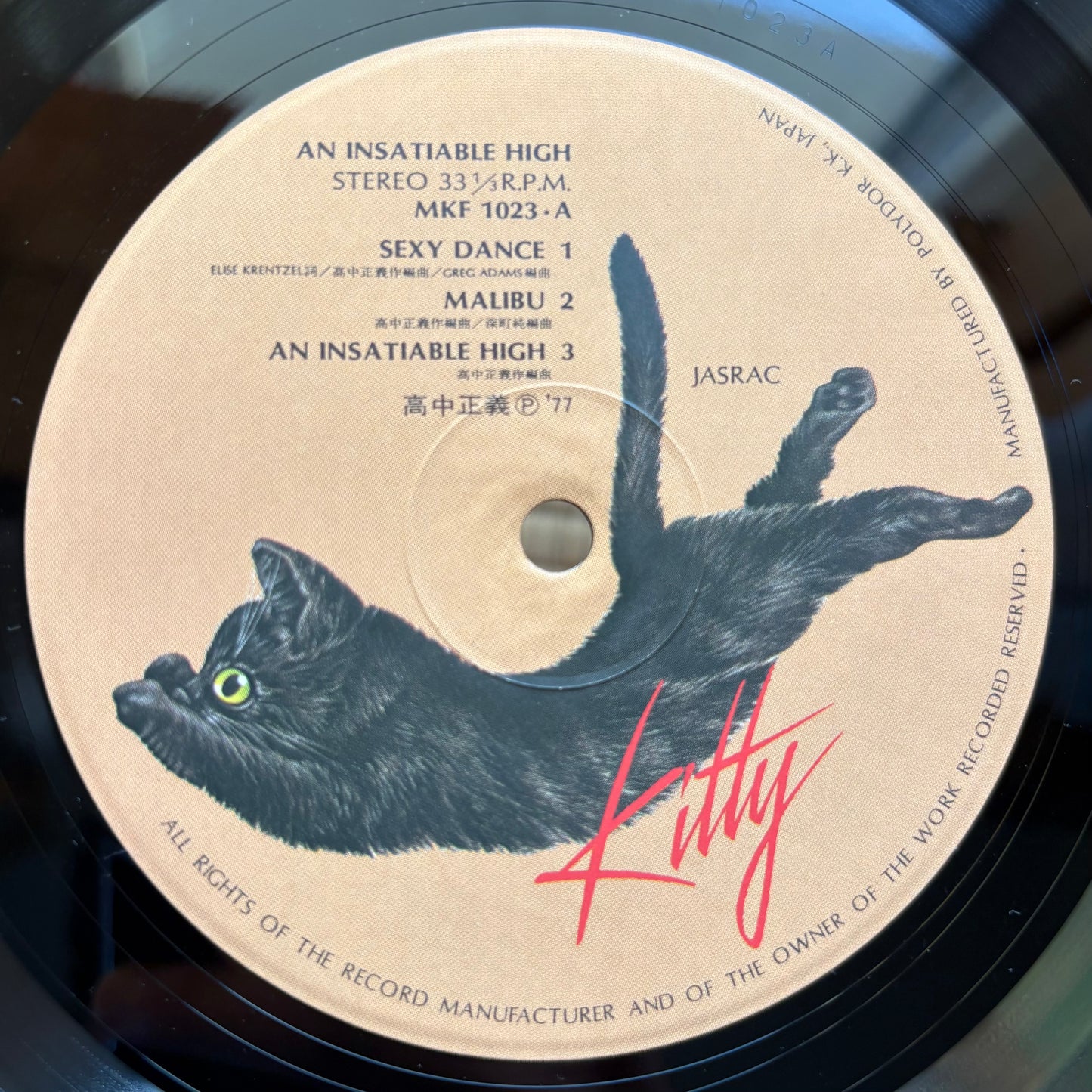 Masayoshi Takanaka - An Insatiable High