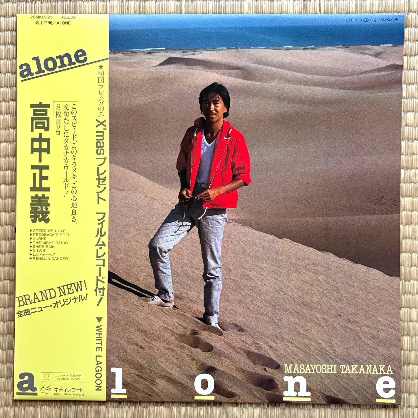 Masayoshi Takanaka - Alone