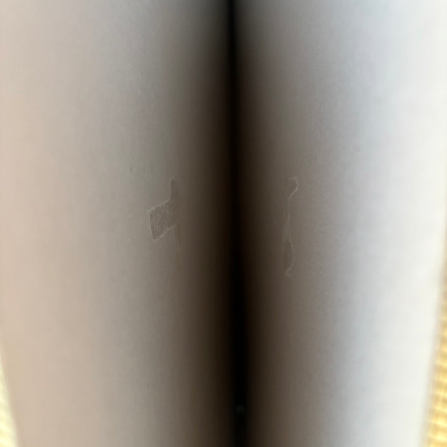 Meiko Nakahara - Mint