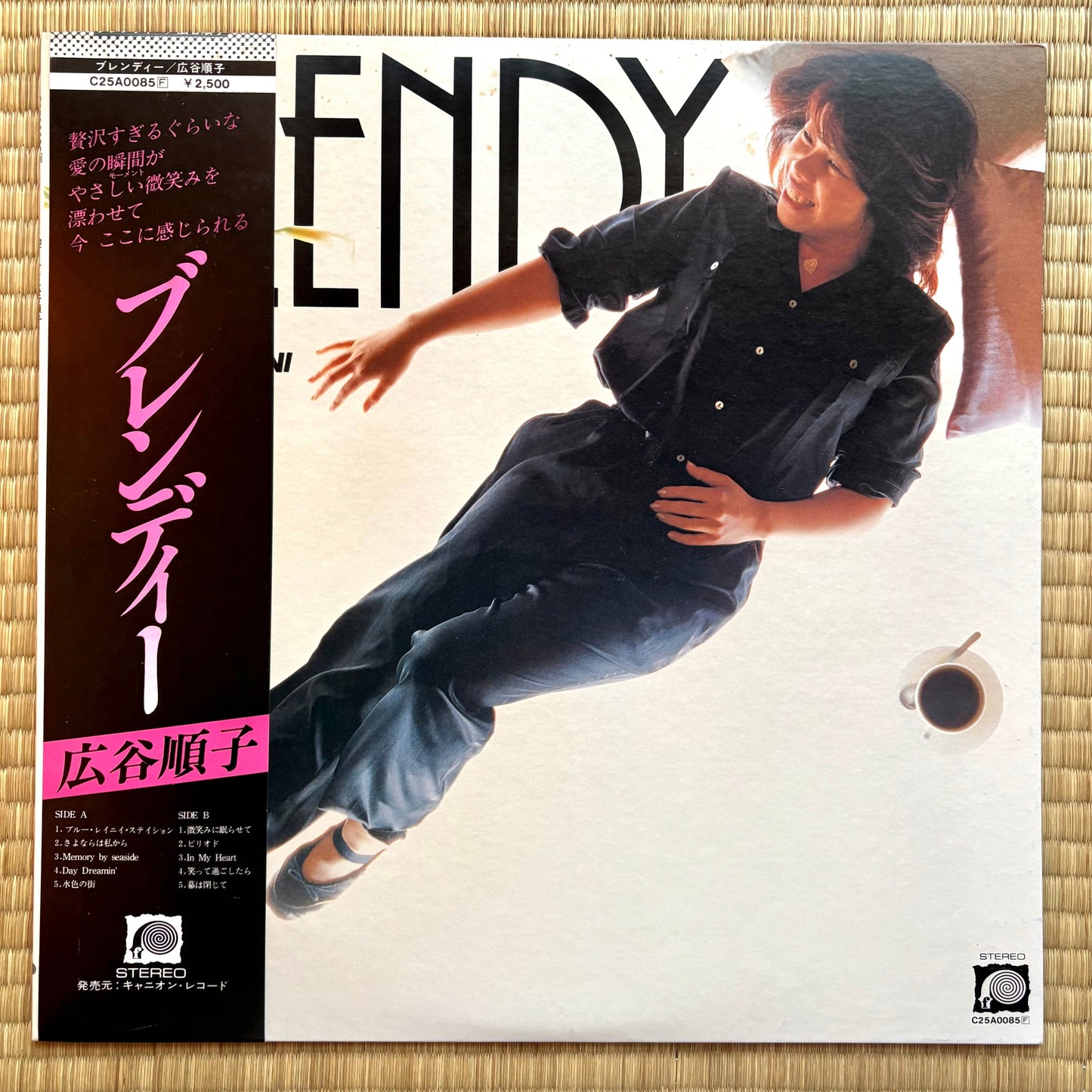 Junko Hirotani - Blendy