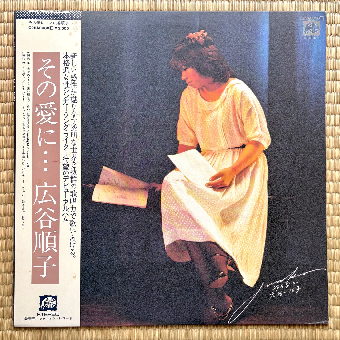 Junko Hirotani - Sono Ai Ni