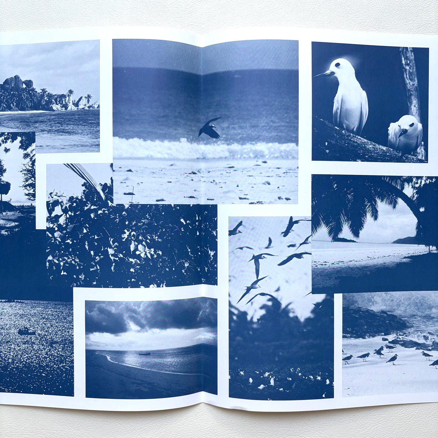 Yuji Ohno - Lifetide
