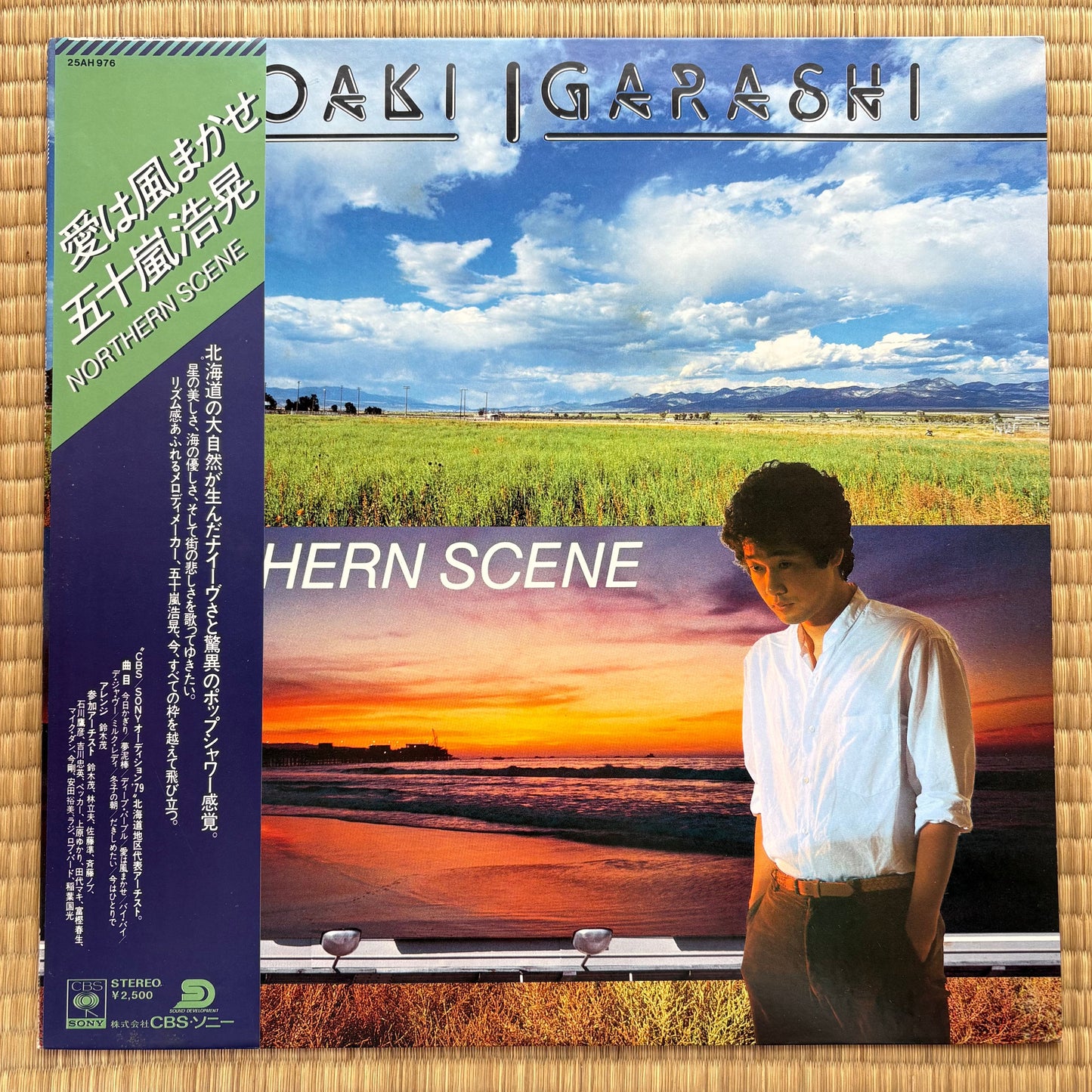 Hiroaki Igarashi – Northern Scene