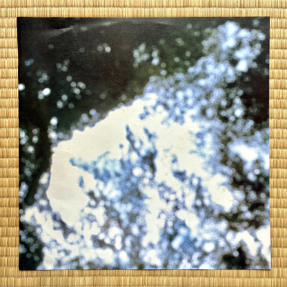 Mai Yamane - Will