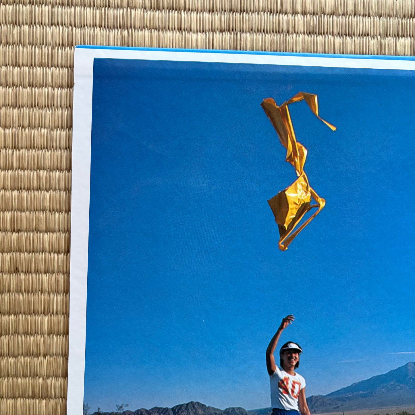 Masayoshi Takanaka - An Insatiable High (Super clean copy!)