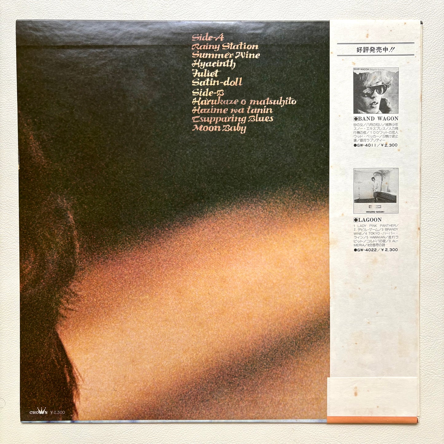 Shigeru Suzuki – Caution!