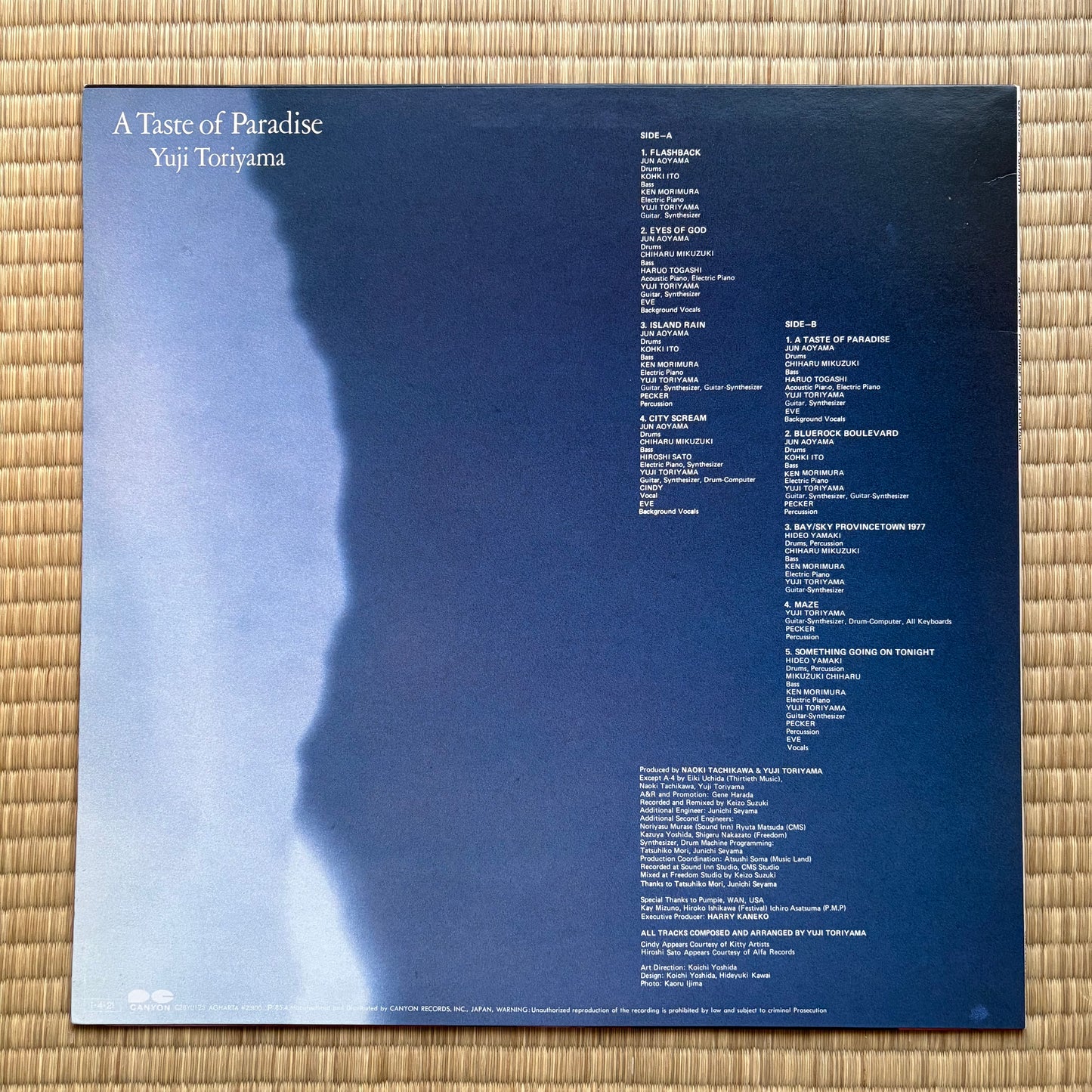 Yuji Toriyama – A Taste Of Paradise