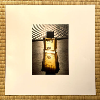 東京事変 (Tokyo Jihen) - 大人 (Adult)