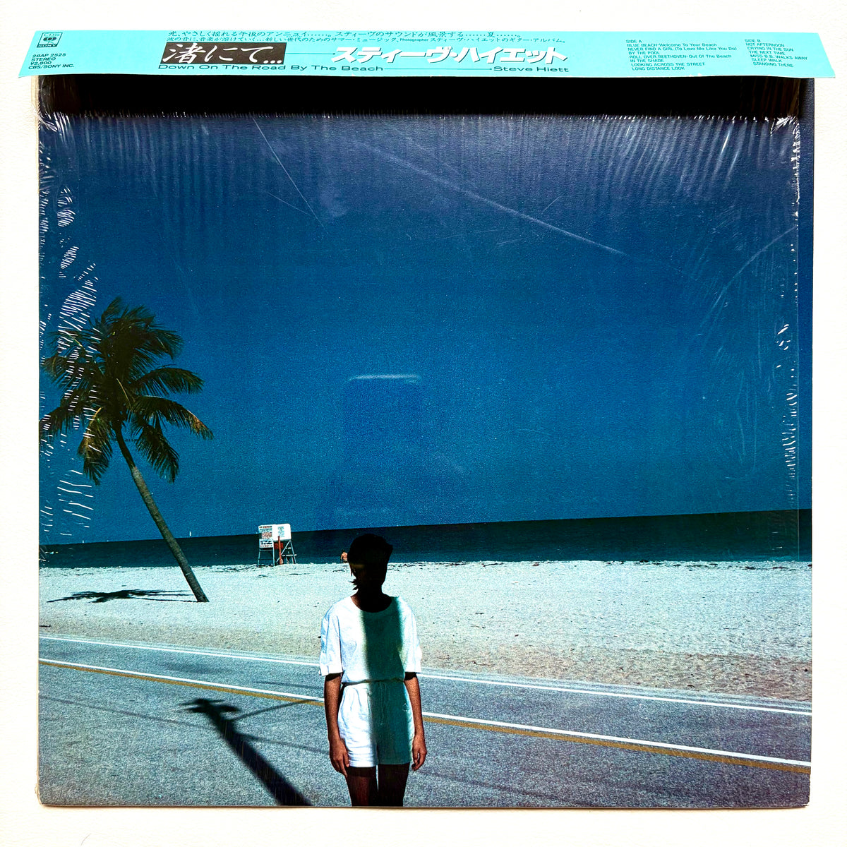 Steve Hiett – Down On The Road By The Beach