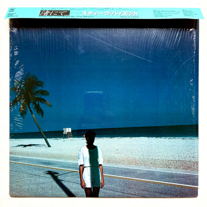 Steve Hiett – Down On The Road By The Beach