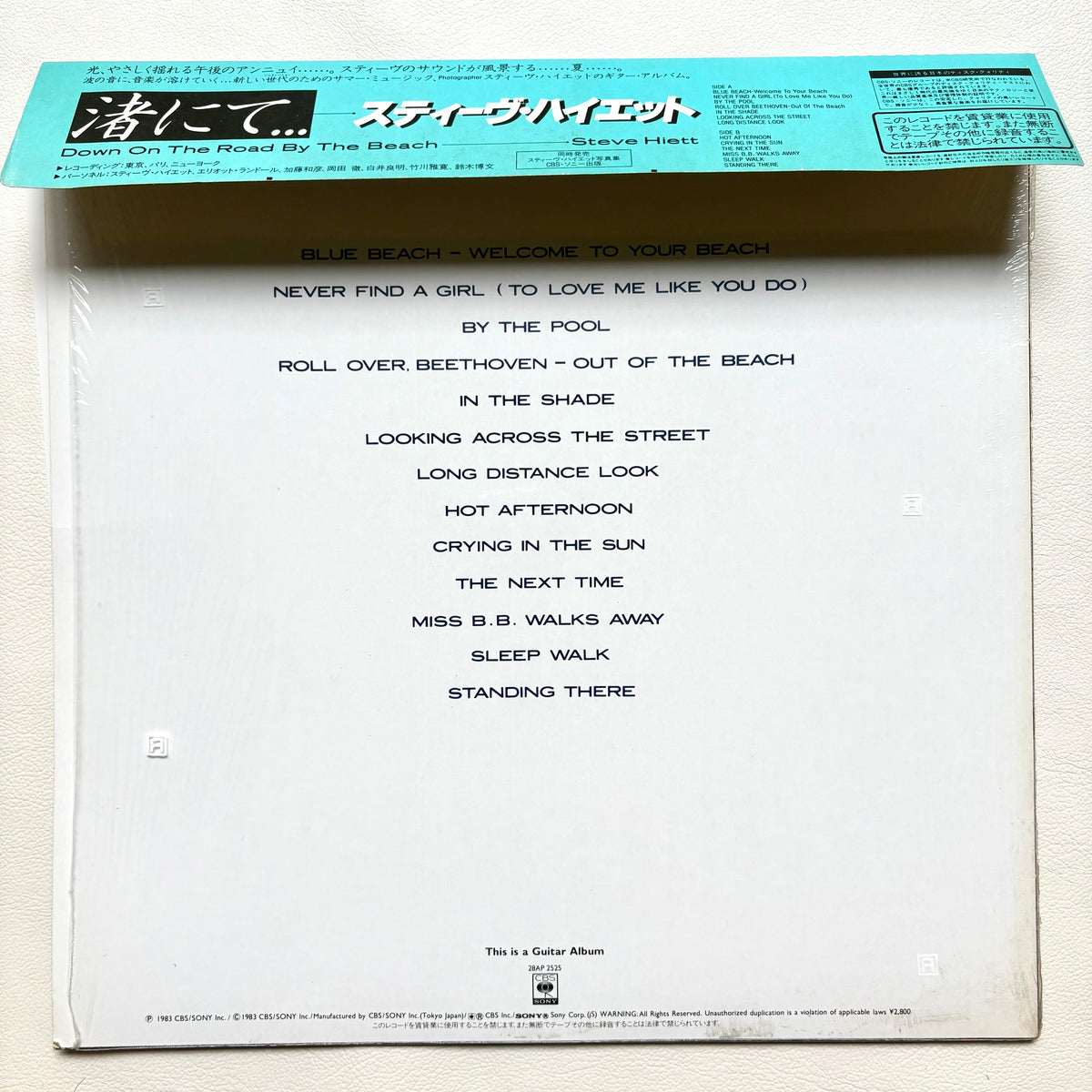 Steve Hiett – Down On The Road By The Beach