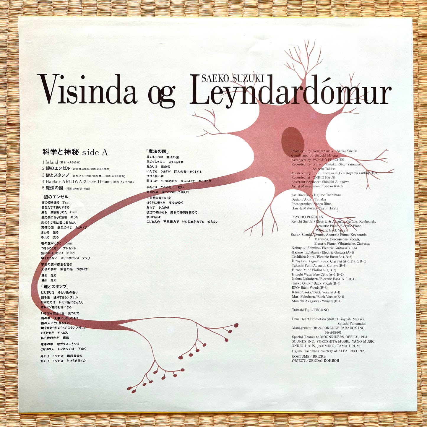 Saeko Suzuki – Visinda Og Leyndardómur