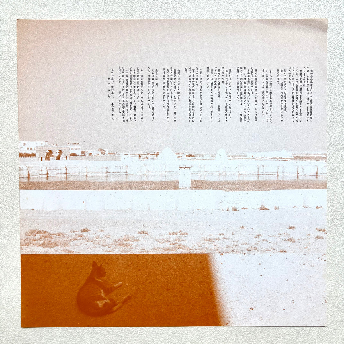 Toshifumi Hinata – Chat D'Ete
