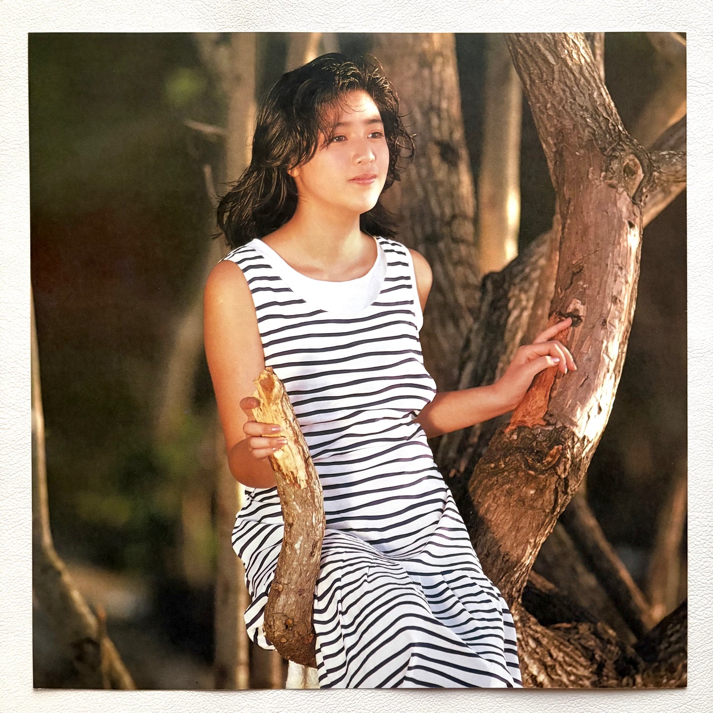 Momoko Kikuchi - Adventure