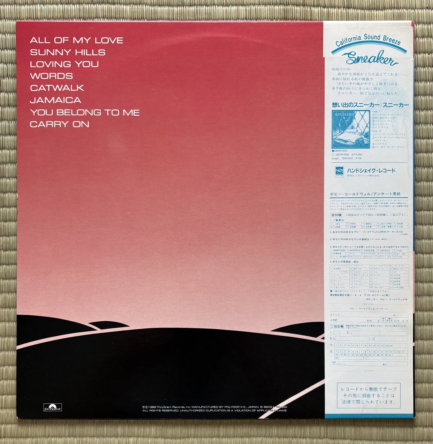Bobby Caldwell / Carry On