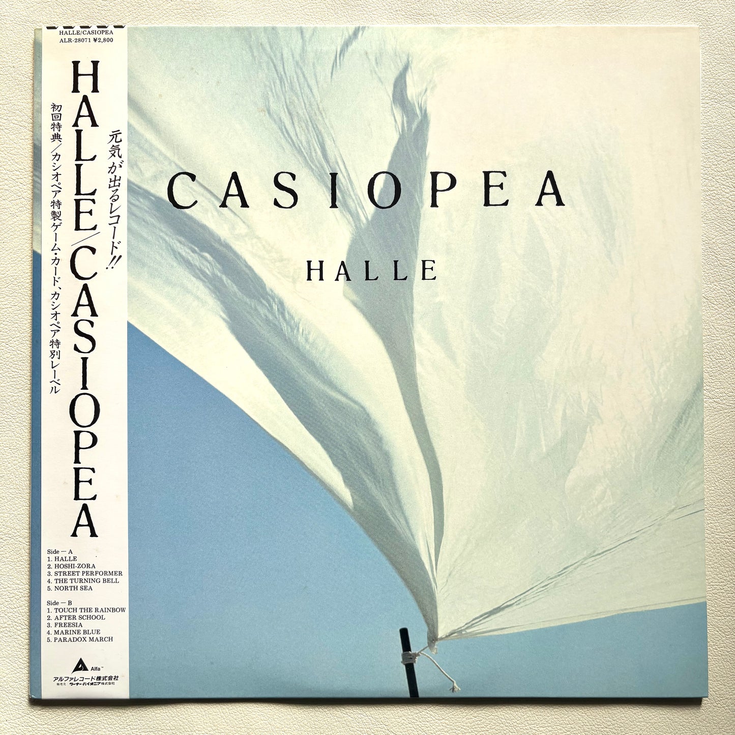 Casiopea - Halle