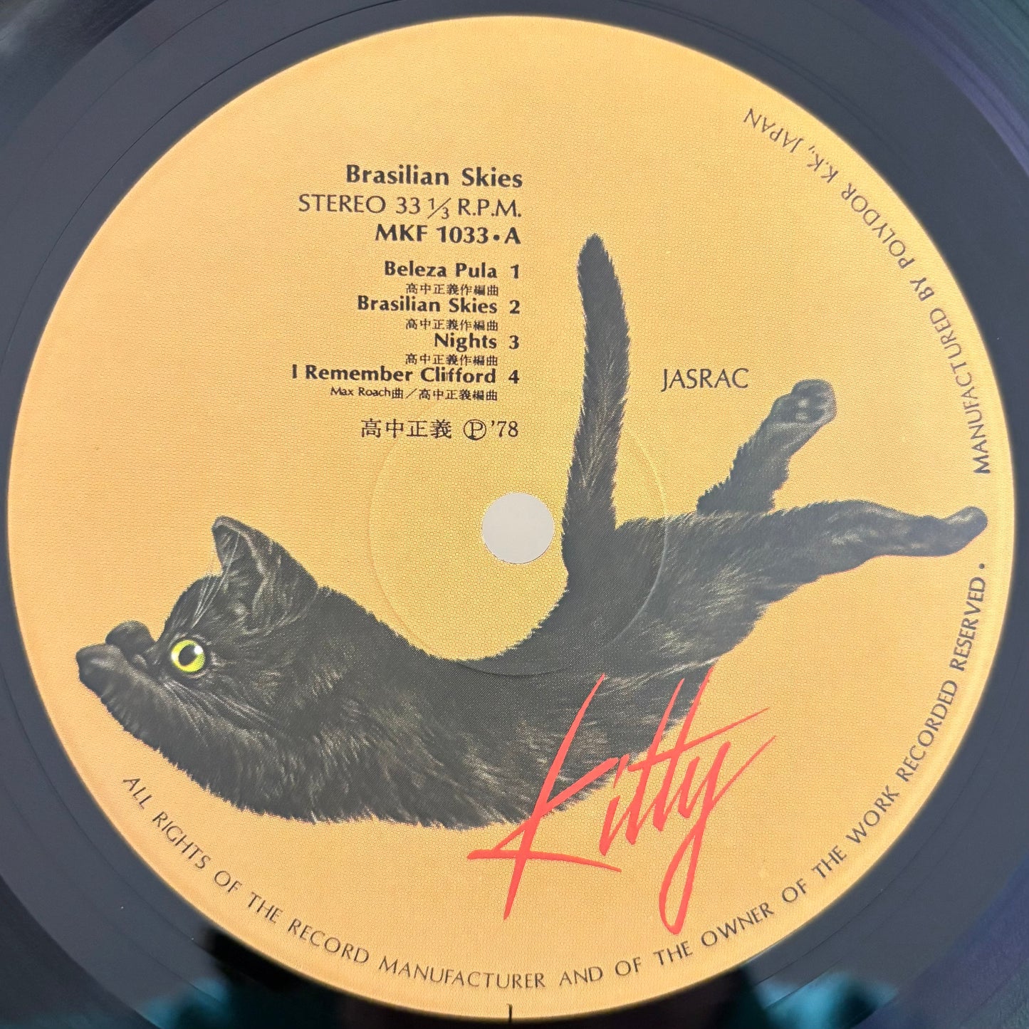 Masayoshi Takanaka - Brasilian Skies